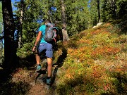 01 Sul sent. 202 panoramico per il Passo di Dordona